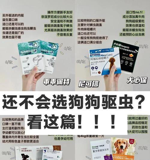 狗狗胃肠炎的症状及护理方法（了解狗狗胃肠炎的症状，与医生合作，正确护理宠物）