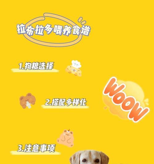 拉布拉多幼犬饲养指南（关注拉布拉多幼犬的健康与行为，让它健康快乐成长）