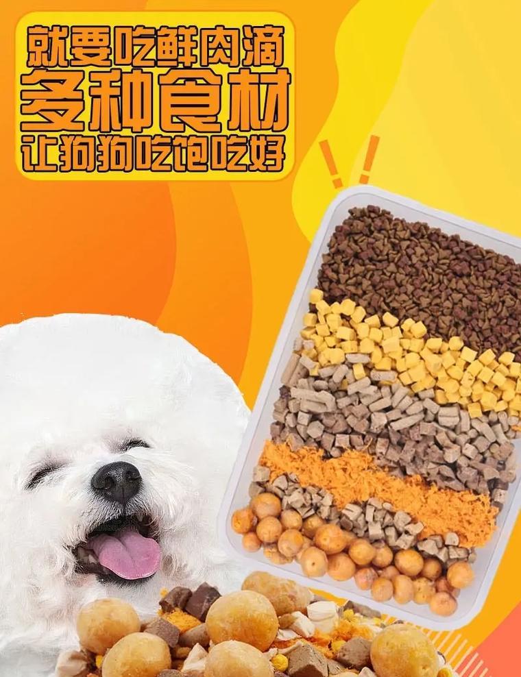 宠物狗该喂什么狗粮好？了解狗粮排名前十品牌（狗粮排名前十品牌及个人经验分享）