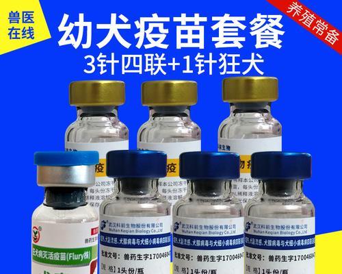 狗狗为什么需要打疫苗？（保护宠物健康的必要措施——疫苗的重要性）