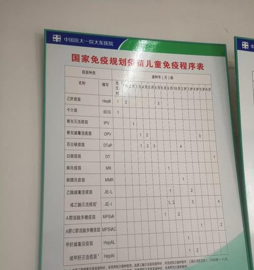 狗狗的健康护航（确保你的爱宠获得全面的免疫保护）