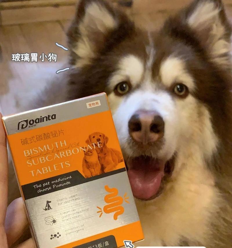 狗狗腹泻拉不停的七个常见原因（探究狗狗拉稀的诱因和解决方法，保护狗狗的健康）