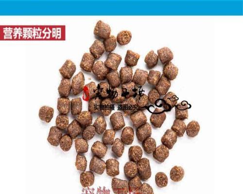 以三湖慈鲷喂什么饲料好？（优质饲料选择指南，确保慈鲷健康生长）
