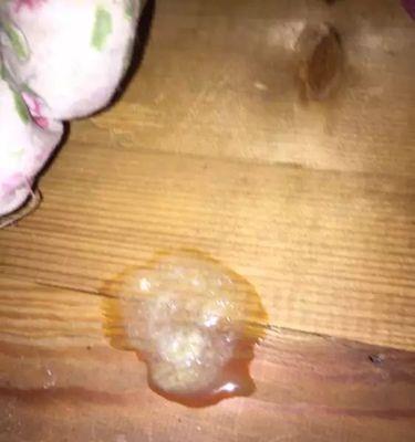 狗狗为什么吃完就吐？（探究狗狗饮食问题的背后原因）