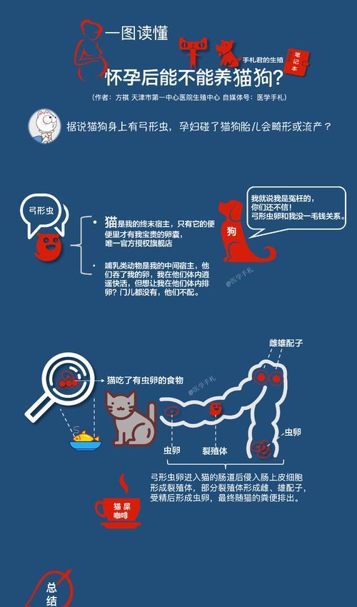 以猫送人的注意事项（以猫送人，关注细节）