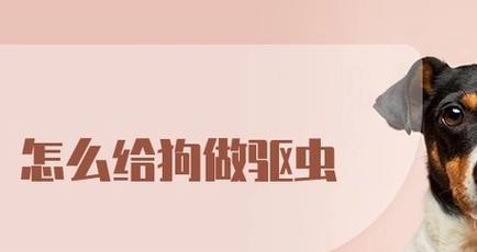 幼犬出生后的驱虫时机及注意事项（宝贝狗狗的健康保障与驱虫计划）