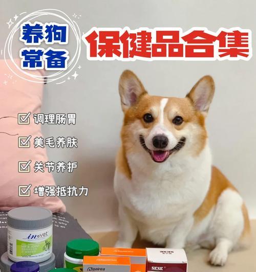 狗狗的营养饮食指南（探索狗狗的营养需求，为它们提供健康的食物）