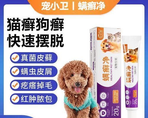 狗狗脑膜炎的药物治疗（药物治疗脑膜炎的有效方法）