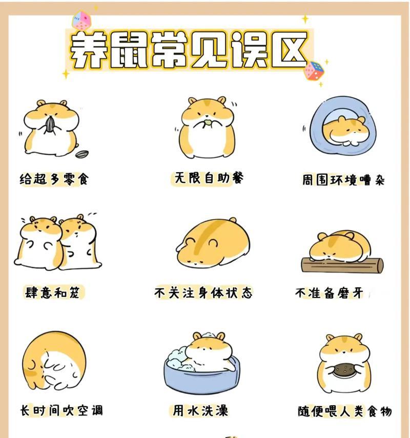 仓鼠出生前的关注要点（为宠物仓鼠提供良好的生育环境）