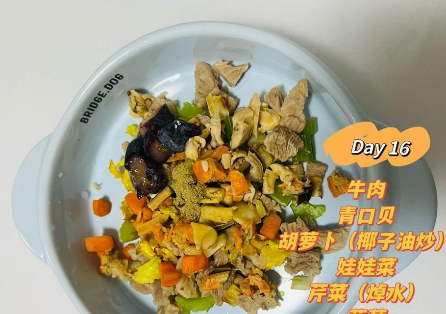 养一只6个月大的泰迪需要注意的饮食问题（为你的泰迪提供健康、均衡的饮食）