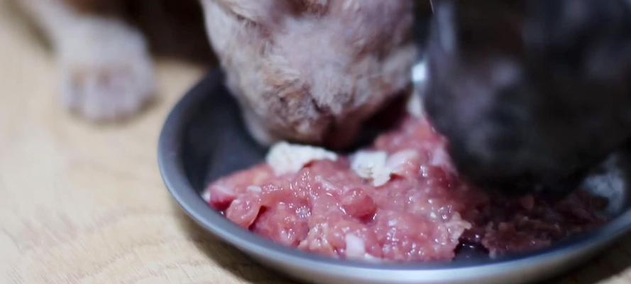 猫咪的理想食物（满足猫咪本能的最佳营养选择）