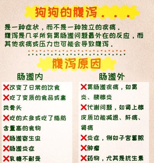 金毛为什么总是拉肚子？（探究金毛拉肚子的原因及解决方法）