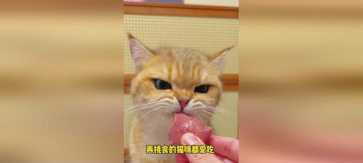 猫吃鸡肝中毒的症状及应对方法（详解猫吃了鸡肝后可能出现的症状和对策）