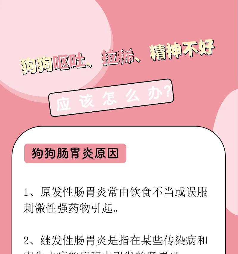 泰迪呕吐的原因及处理方法（探究泰迪呕吐的常见原因，并提供相应解决方案）