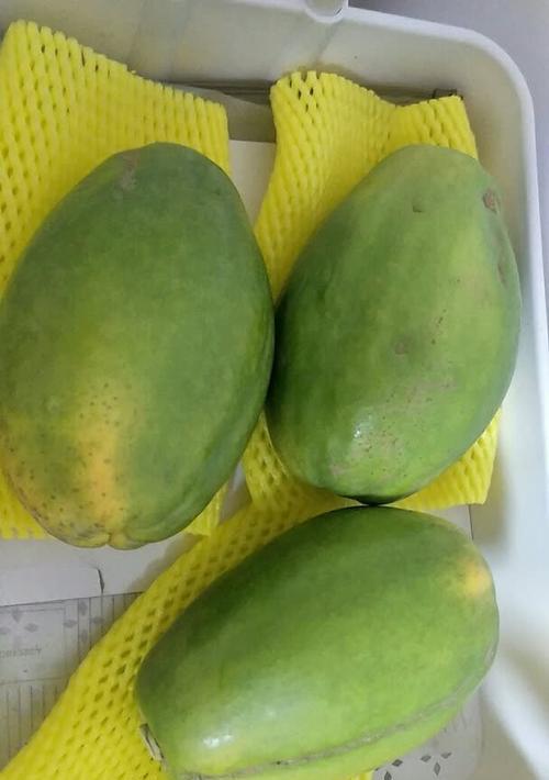 小狗的饮食需求（了解小狗的营养需求，给它们提供健康的水果选择）