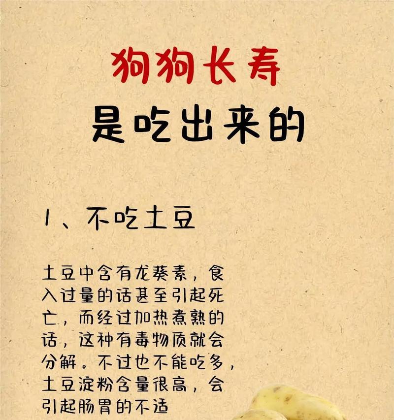 为一个月多的狗狗选择健康饮食的重要性（探索适合年幼狗狗的饮食，）