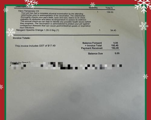 狗狗成年后每年需要打哪些针？（保持狗狗健康的必要措施）