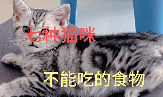 探究猫为什么会不想吃东西的原因（揭开猫咪不食物的谜团，寻找原因破解方法）