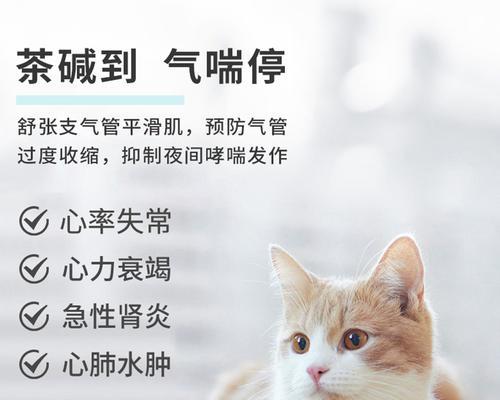 小狗狗咳嗽（专家推荐15种有效的食物来帮助小狗止咳）