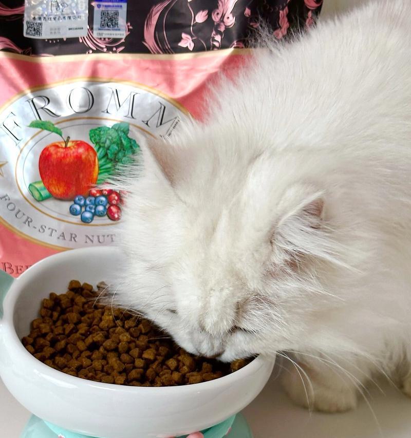猫咪便秘的原因及解决方法（揭秘猫咪便秘的根源以及有效的处理办法）