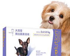 选择合适的犬用驱虫药保护宠物健康（了解常见犬用驱虫药品及选择要点）
