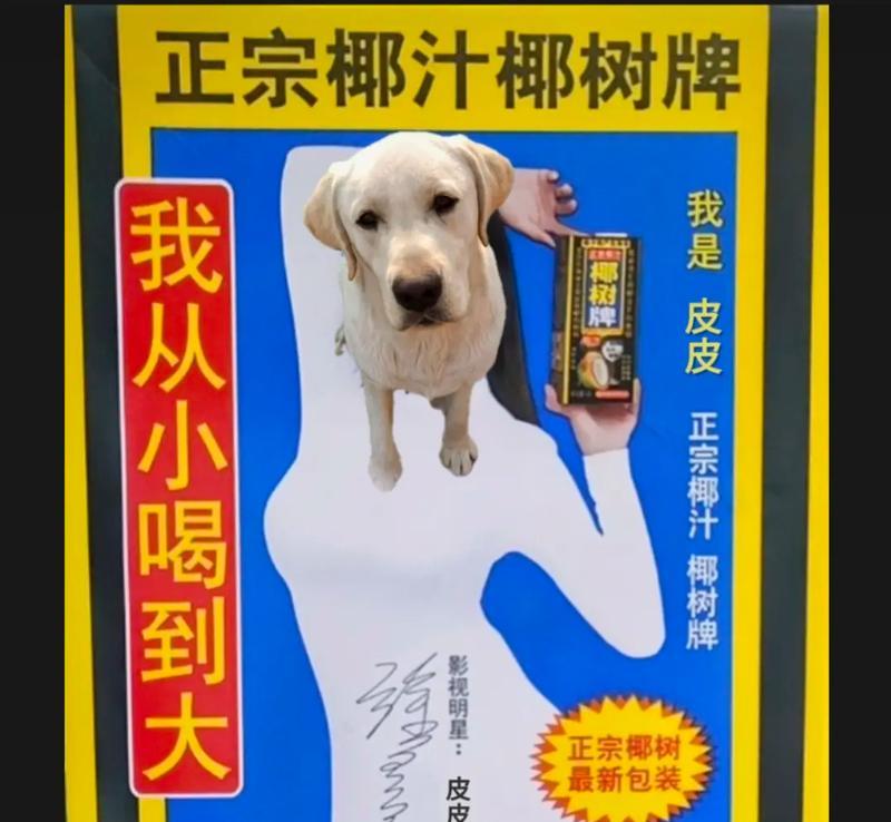拉布拉多幼犬4个月应该吃什么狗粮？（选择合适的狗粮确保幼犬健康成长）
