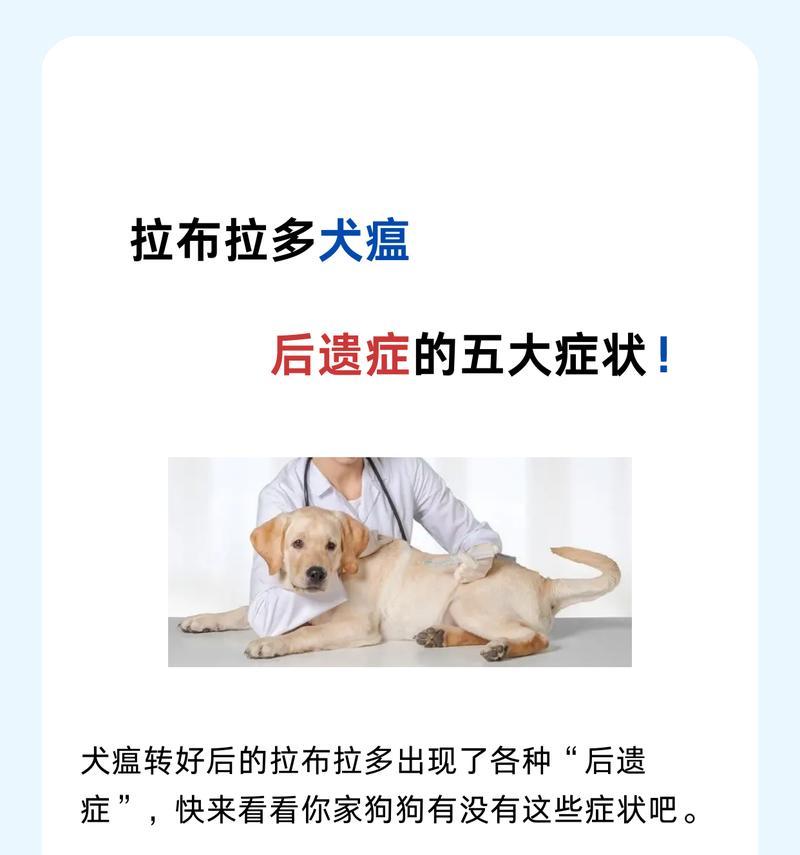 狗呕吐及流口水（了解狗呕吐和流口水的原因以及应对方法，让宠物健康无忧）
