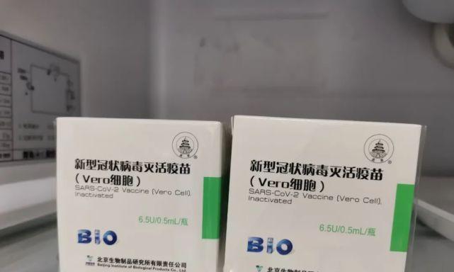 冠状病毒疫情防治药物的现状与前景（探索有效药物，共同抗击冠状病毒肺炎）