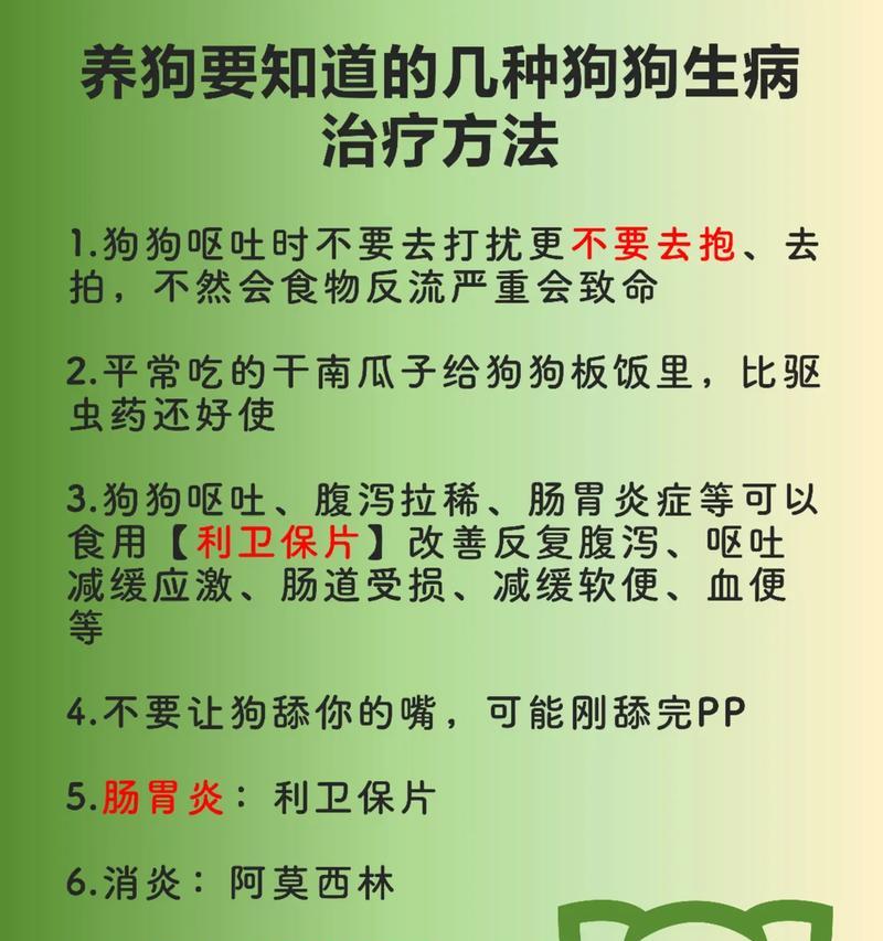 小狗呕吐厉害的原因及应对方法（探究小狗呕吐厉害的常见原因，了解如何帮助小狗缓解不适）