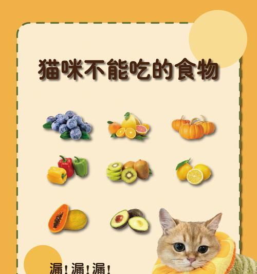 小猫十五天吃什么蔬菜最好？（为健康成长选择适宜蔬菜）