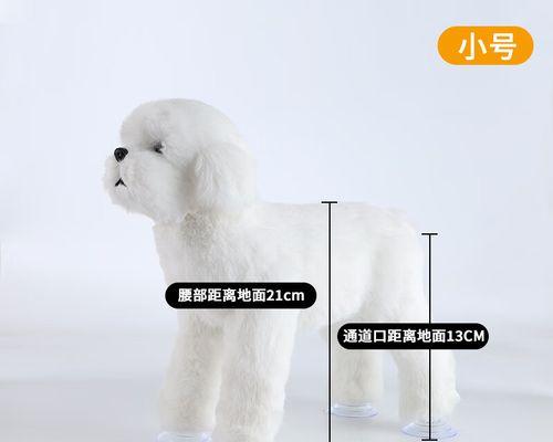 以公泰迪配种的注意事项（为了健康宝宝，这些你必须知道！）