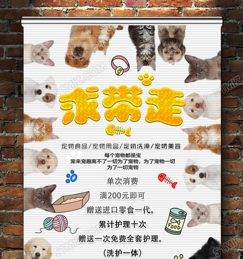 开宠物店需要注意的要点（如何成功经营一家宠物店）