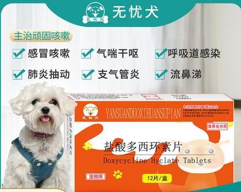 狗狗干咳怎么办？饮食调理是最好的方法（掌握正确的饮食调理方法，让宠物狗走出干咳的困扰）