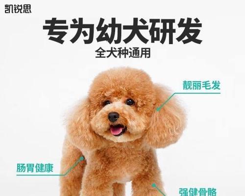 选择适合柯基幼犬的狗粮品牌（满足柯基幼犬营养需求的品牌推荐）