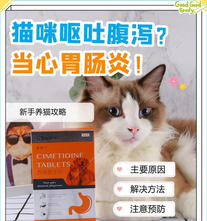 小猫胃肠炎的症状及治疗方法（了解小猫胃肠炎的常见症状，保护宠物健康）
