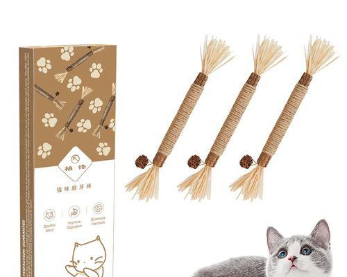 小猫磨牙的重要性（猫咪磨牙的方法和工具选择）
