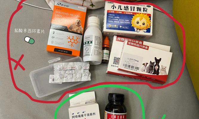 养宠小百科（为您的小狗提供合适的饮食，健康成长）