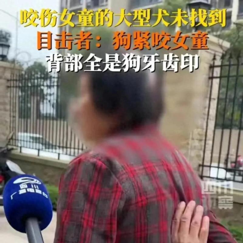 狗狗咬人的原因和预防方法（揭秘狗狗咬人背后的真相及如何避免这种情况）