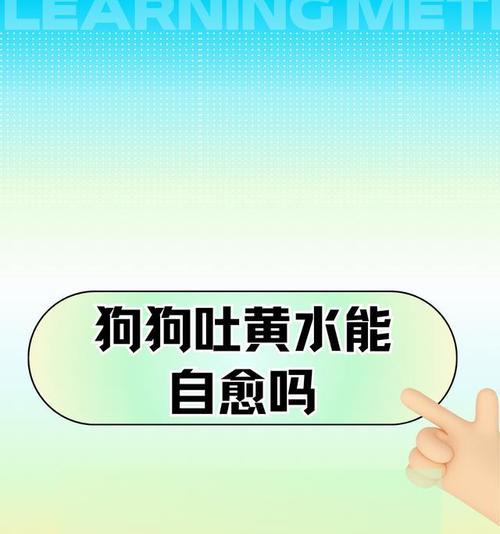 金毛吐臭黄水，可能是什么病？（探究金毛吐臭黄水的原因及治疗方法）