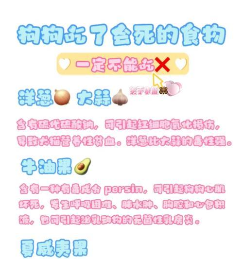 小博美的饮食健康指南（科学搭配营养，让你的博美拉稀不再烦恼）