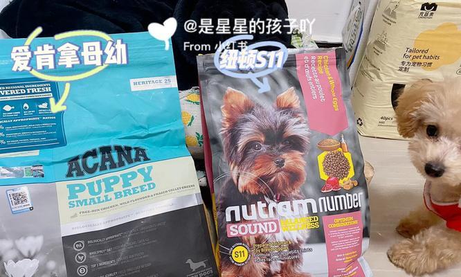 三个多月的泰迪宝宝适合食用的健康食品（为您揭示泰迪宝宝的饮食秘密，让它健康成长）