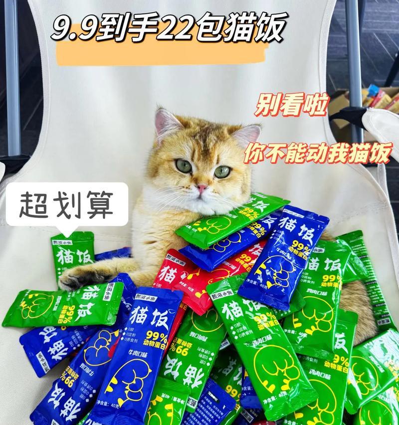 猫咪健康食谱（为宠物猫提供足够的牛磺酸，关键是科学饮食）