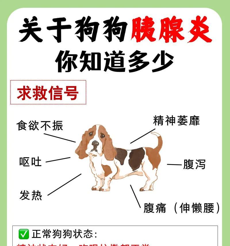 进口狗粮的优势（为你的宠物选择最佳营养）