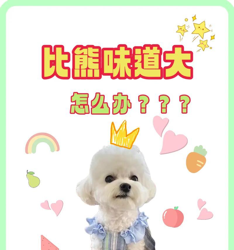 2个月比熊狗狗的理想狗粮选择（为你的新成员提供健康饮食，）