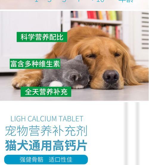 人用钙片狗可以吃吗？（探讨以人的钙片狗是否适合狗食以及注意事项）