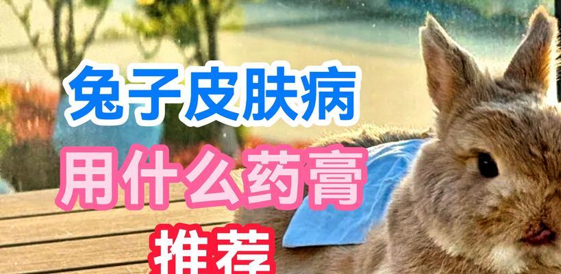 探究兔子最爱的疾病——兔传染性肠炎（兔传染性肠炎的危害、预防与治疗）