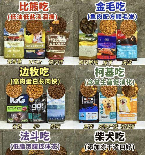 小比熊的饮食需求（小比熊的饮食需求及健康饮食建议）