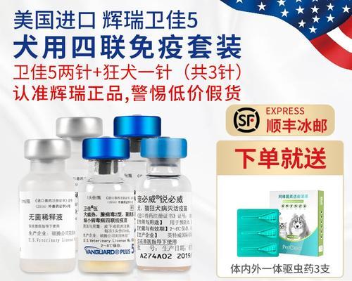 小狗疫苗的重要性和注意事项（保护你的宠物免受疾病侵害）
