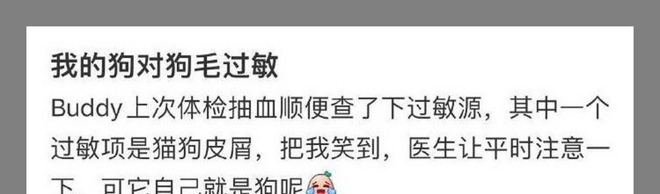 狗的食物过敏反应及处理方法（了解狗食物过敏反应，保护宠物健康）