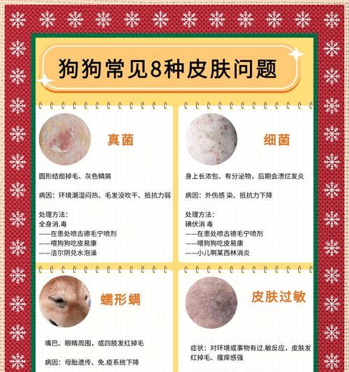 狗皮肤的颜色对健康有何影响？（探索狗皮肤颜色的意义与健康状况）